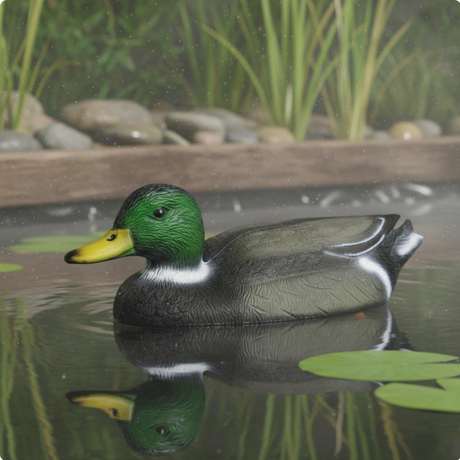 リアルなアヒルのデコイ、防水仕様、狩猟用具や裏庭の装飾に最適 - Hunting & Outdoor Supplies Vanderbijlpark Photos のレビューと価格